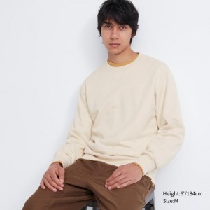 Beige Uniqlo Elegant Men Sweatshirts | 7173499