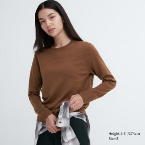 Brown Uniqlo Extra Fine Merino Crew Neck Long-Sleeve Women Sweaters | 618165
