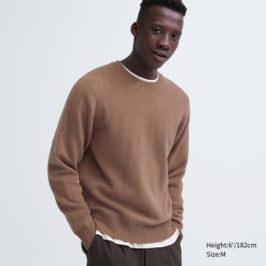 Brown Uniqlo Premium Lambswool Crew Neck Long Sleeve Men Sweaters | 2504535