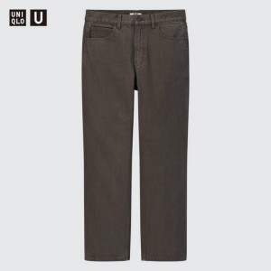 Brown Uniqlo U Regular Fit Men Jeans | 9387553