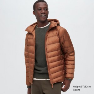 Brown Uniqlo Ultra Light Down 3d Cut Men Parka | 6524574