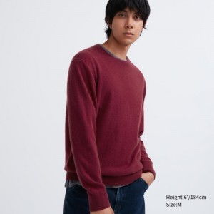 Burgundy Uniqlo Cashmere Crew Neck Long-sleeve Women Sweaters | 4905669