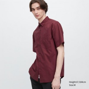 Burgundy Uniqlo Extra Fine Cotton Short-sleeve Men Shirts | 8767424