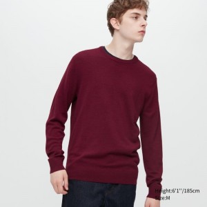 Burgundy Uniqlo Extra Fine Merino Crew Neck Men Sweaters | 6493248