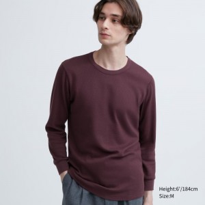 Burgundy Uniqlo Heattech Cotton Waffle Crew Neck Extra Warm Men T Shirts | 5585522