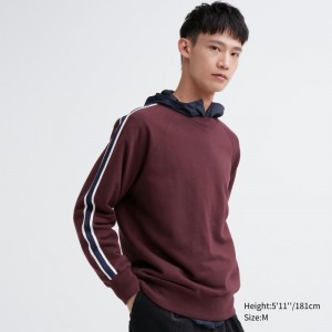 Burgundy Uniqlo Side-stripe Men Sweatshirts | 7744161