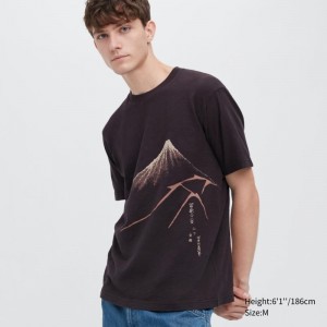 Chocolate Uniqlo Ukiyo-e Ut Short-sleeve Graphic Men T Shirts | 7321172