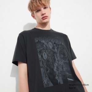 Grey Uniqlo Attack on Titan UT Short-Sleeve Women T Shirts | 3302282
