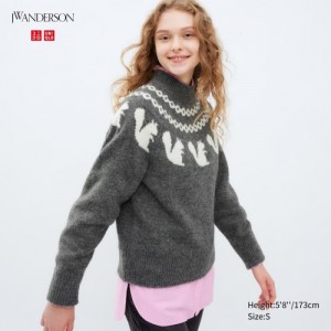 Grey Uniqlo Jacquard Crew Neck Long-Sleeve Women Sweaters | 2418843