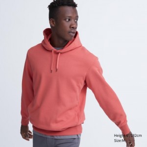Pink Uniqlo Sweat Pullover Women Hoodie | 6249963