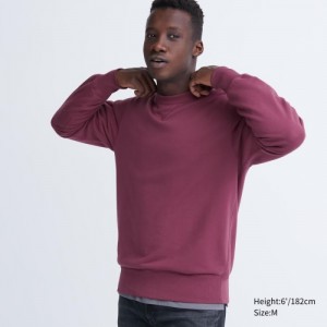 Purple Uniqlo Long Women Sweatshirts | 7859115