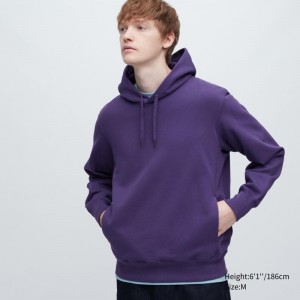 Purple Uniqlo Sweat Pullover Long-sleeve Men Hoodie | 350458