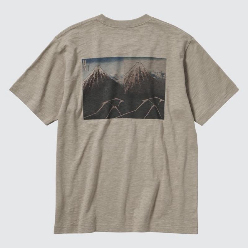 Beige Uniqlo Hokusai UT Short Sleeve Women T Shirts | 4464343