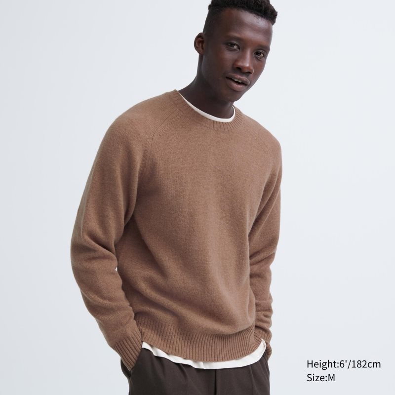 Brown Uniqlo Premium Lambswool Crew Neck Long Sleeve Men Sweaters | 2504535