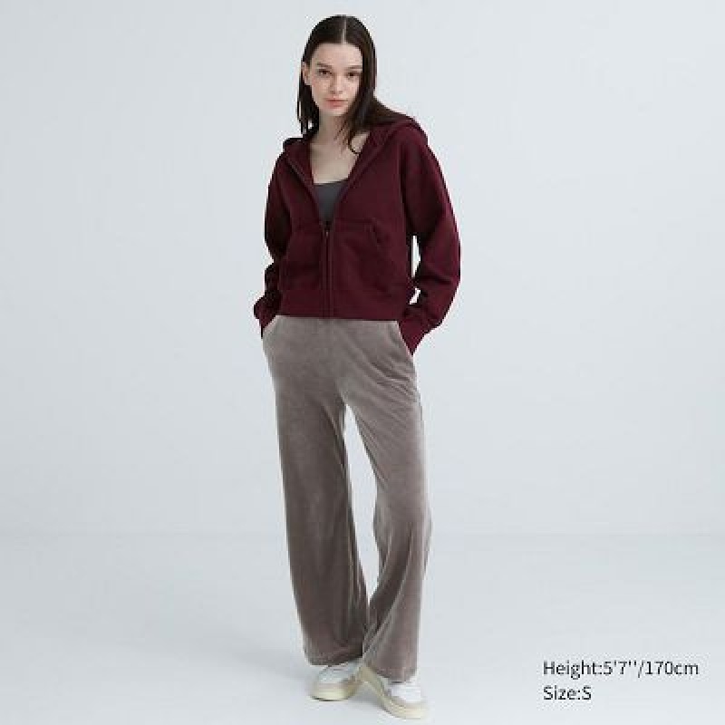 Brown Uniqlo Ultra Stretch Smooth Women Pants | 2716765