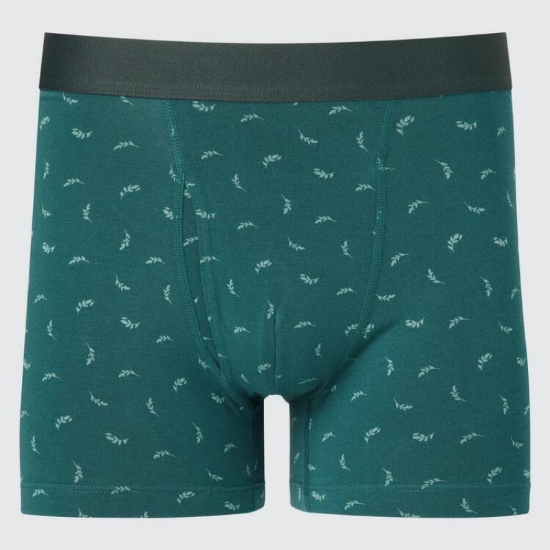 Green Uniqlo Cotton Printed Boxer Men Underwear | 639725