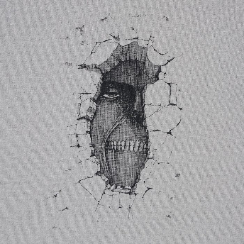 Grey Uniqlo Attack on Titan UT Short-Sleeve A Titan Inside The Wall Women T Shirts | 500338