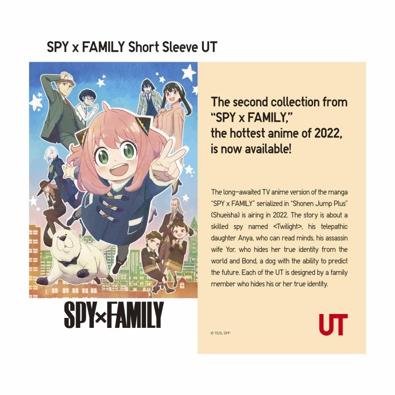 Grey Uniqlo Spy X Family Ut Short-sleeve Graphic Men T Shirts | 2658972